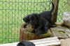 m_wurf_woche_8 (10)